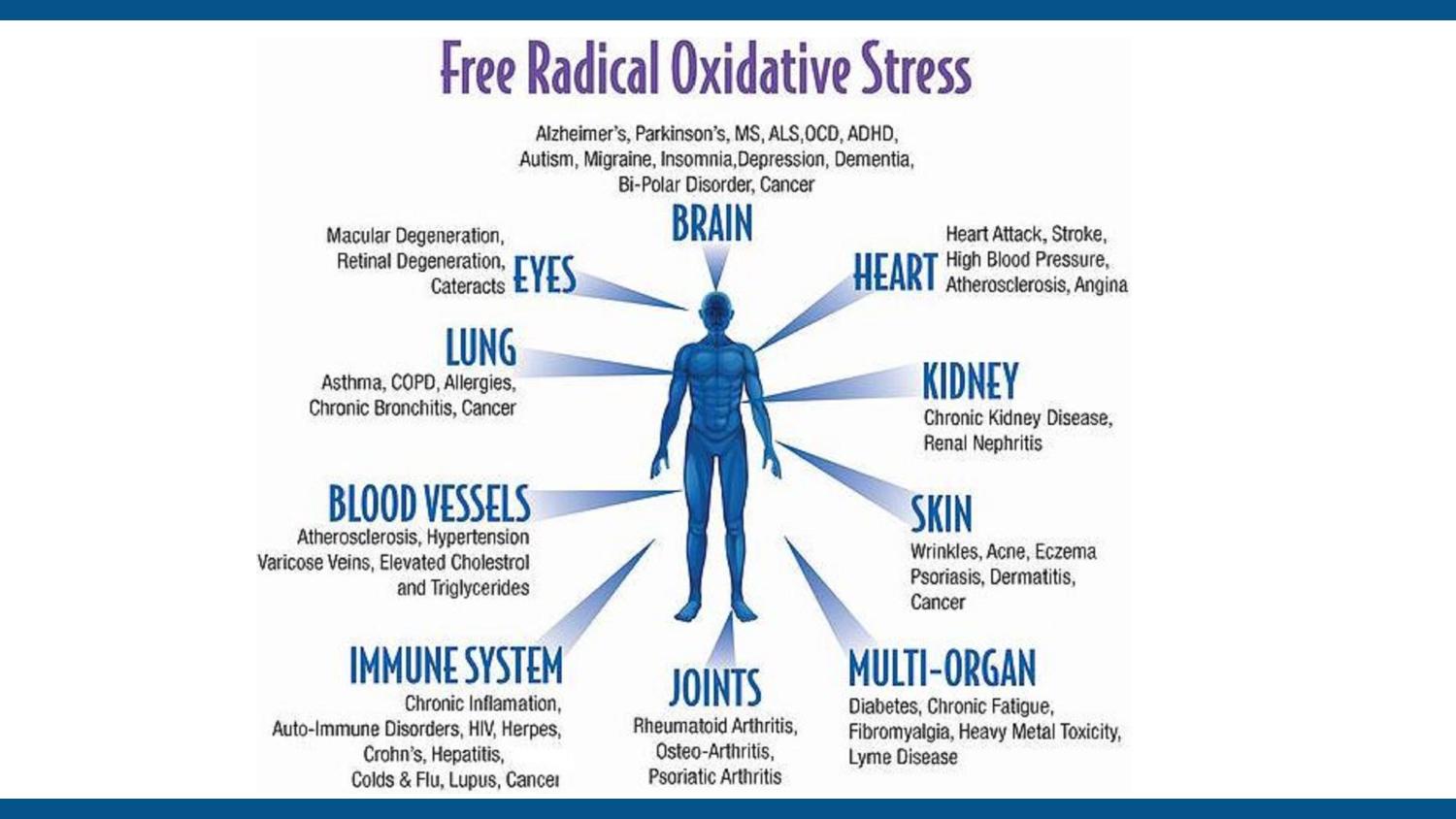 Oxidatative Stress page 3