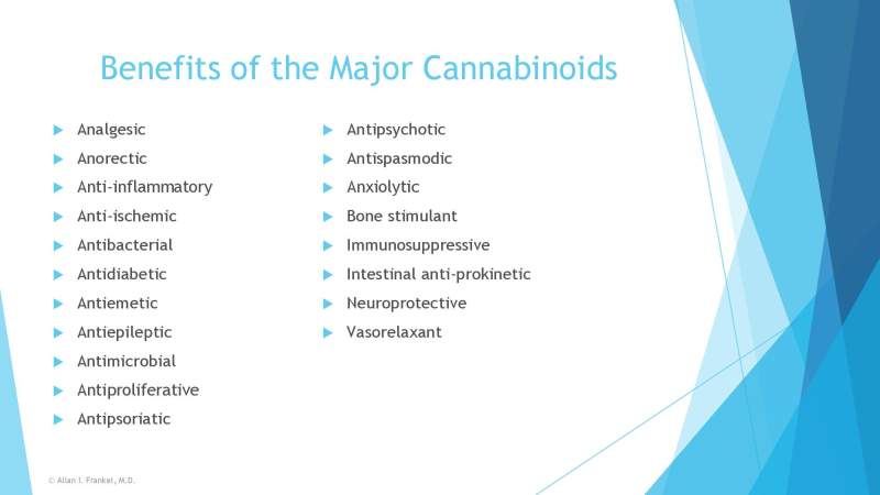 Cannabis Cancer Treatment Slide 6
