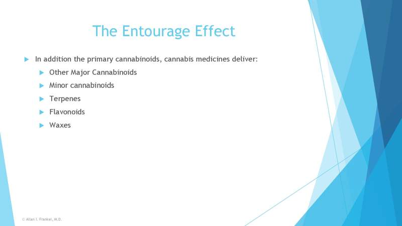 Cannabis Cancer Treatment Slide 10