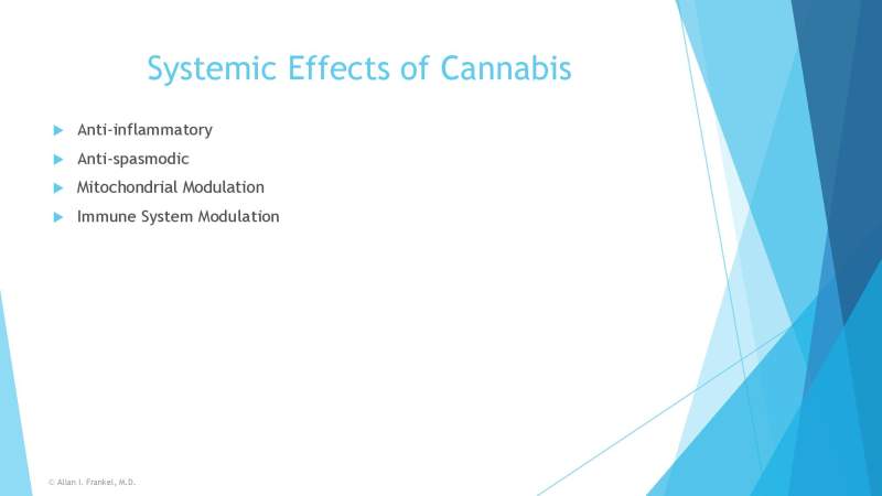 Cannabis Cancer Treatment Slide 12