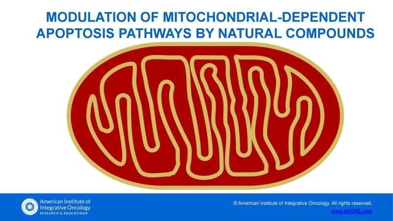 Care and Feeding of Mitochondria page 12