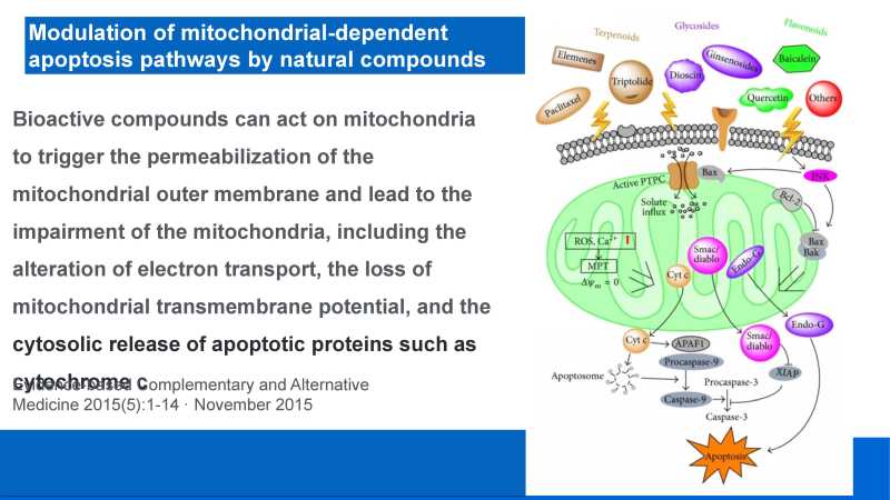 Care and Feeding of Mitochondria page 14