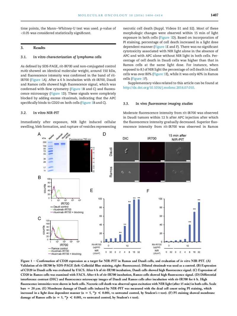 Near infrared photoimmunotherapy of B cell lymphoma page 4