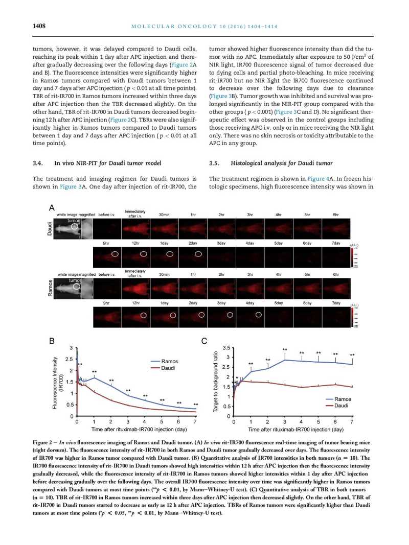 Near infrared photoimmunotherapy of B cell lymphoma page 5