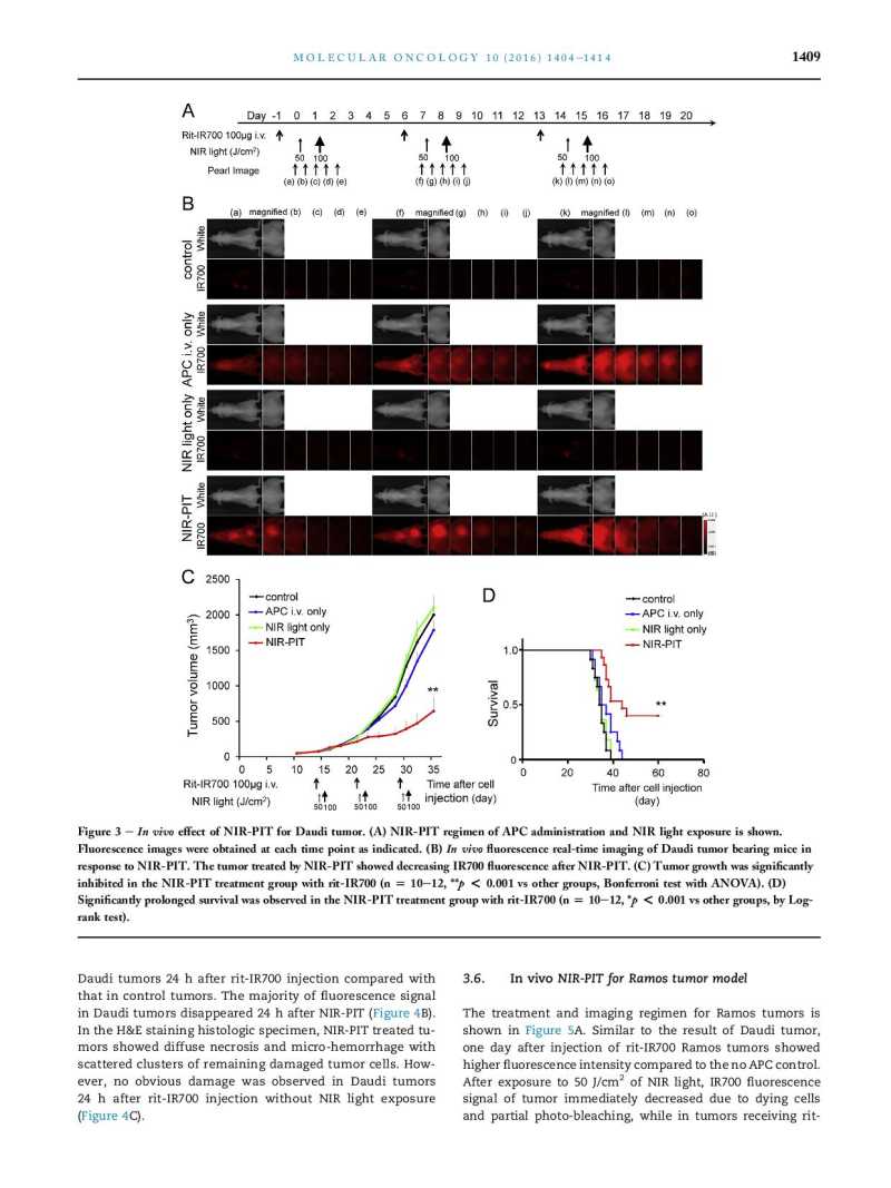 Near infrared photoimmunotherapy of B cell lymphoma page 6