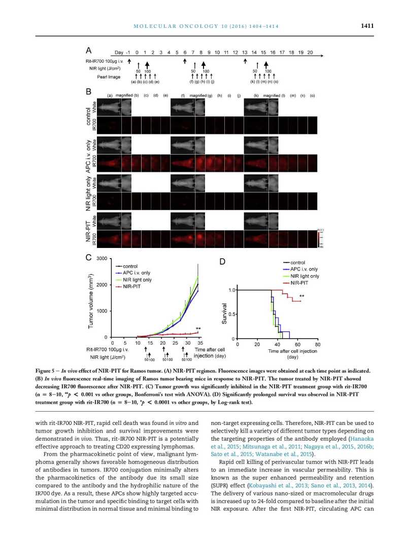 Near infrared photoimmunotherapy of B cell lymphoma page 8