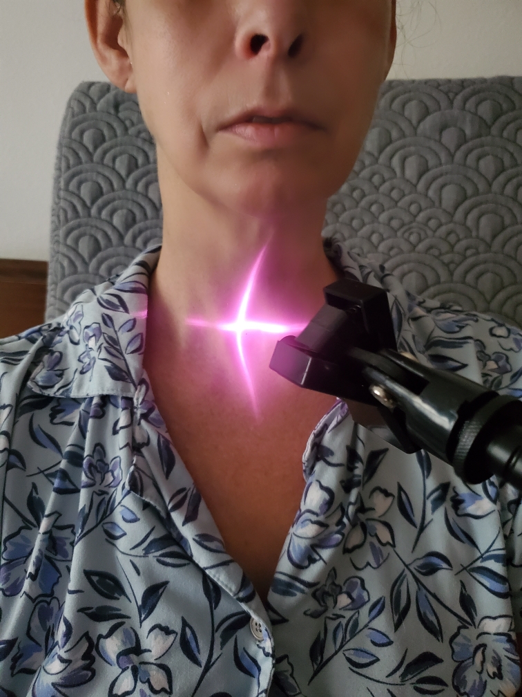 My Aunt with a laser pointed at her throat