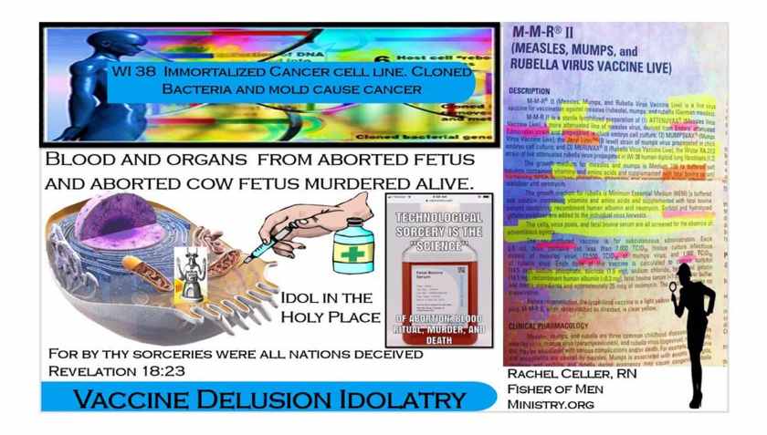 Vaccine Delusion Idolatory slide